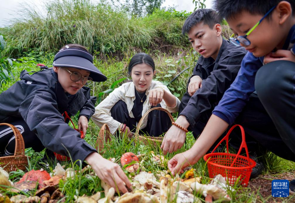 AG真人百家乐-美女荷官发牌